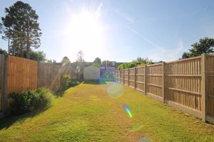 Photo 15- click for photo gallery